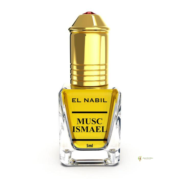 Musc ismaël El nabil