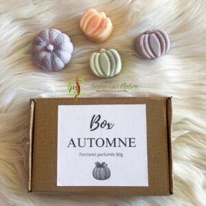 Box fondants parfumés Automne